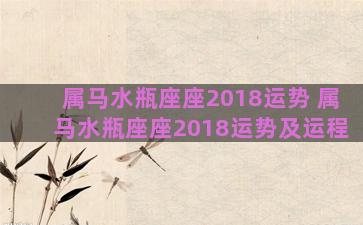 属马水瓶座座2018运势 属马水瓶座座2018运势及运程